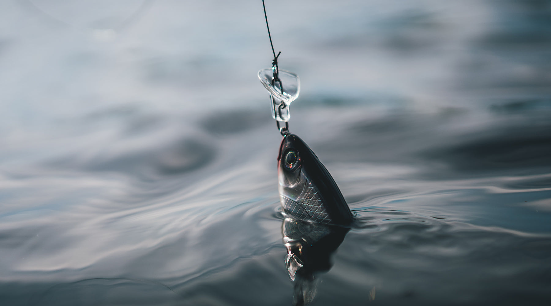 Lures – Headbanger Lures