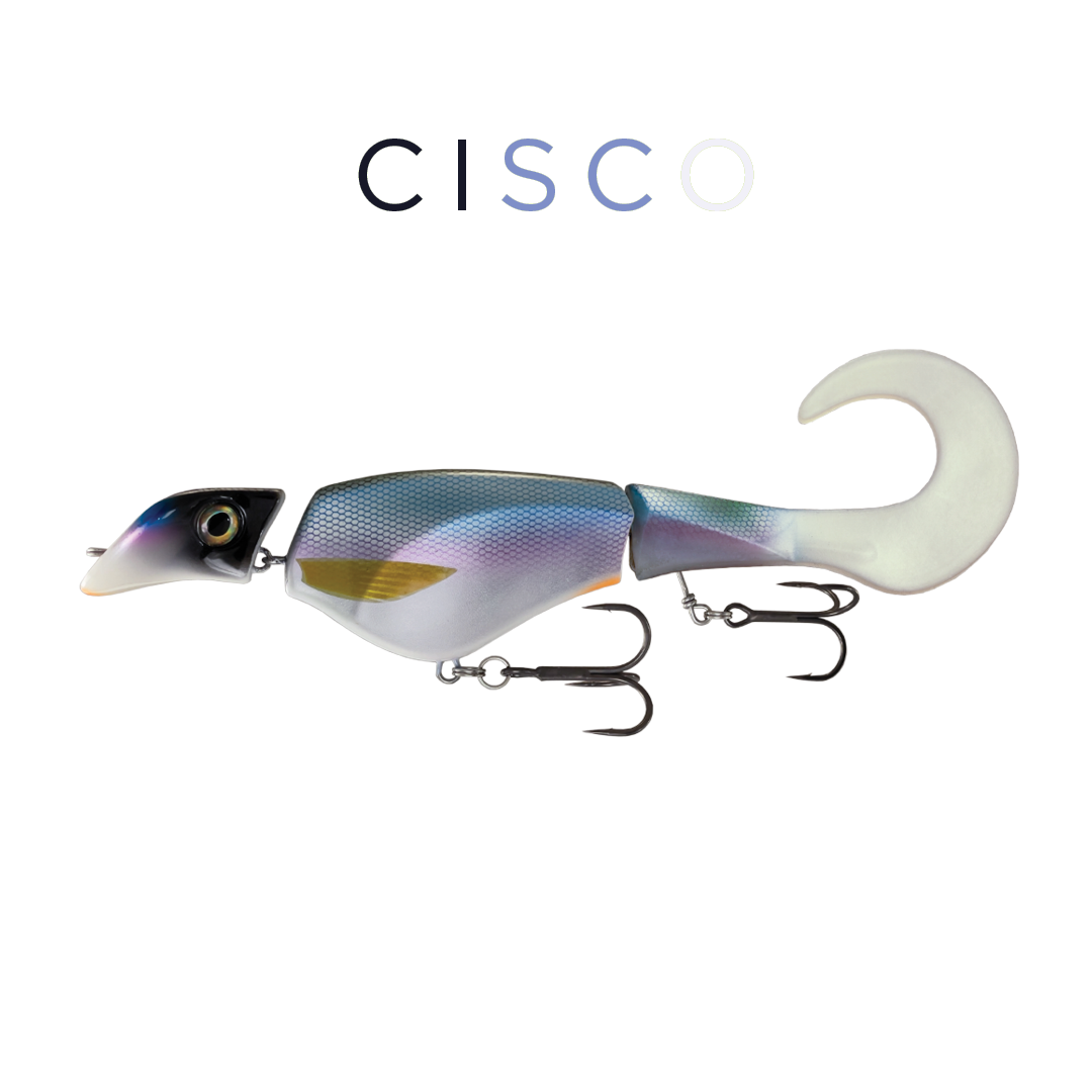 Headbanger Colossus Curly 31 cm – Cisco