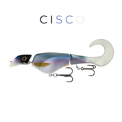 Headbanger Colossus Curly 31 cm – Cisco
