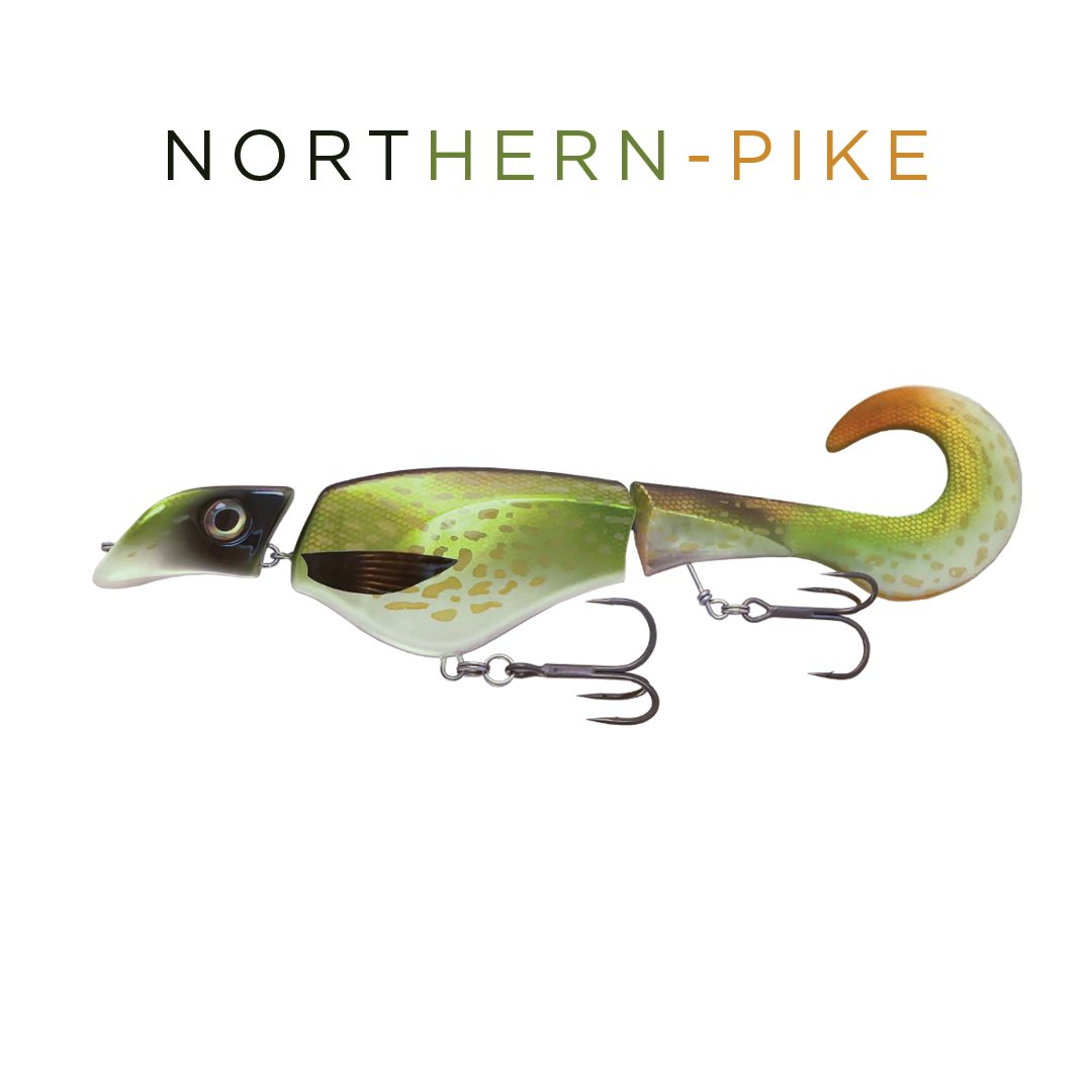 Headbanger Colossus Curly 31 cm – Northern Pike