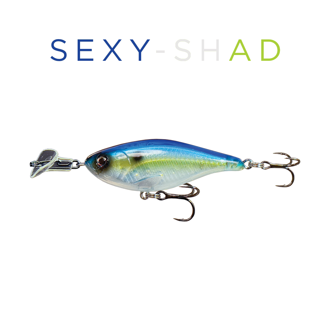 Headbanger Cranky Shad 10.1 cm – Sexy Shad