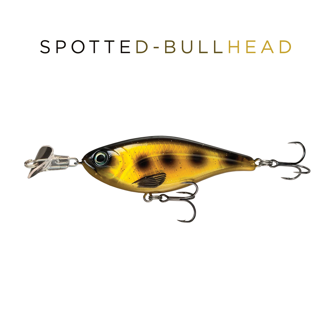 Headbanger Cranky Shad 10.1 cm – Spotted Bullhead