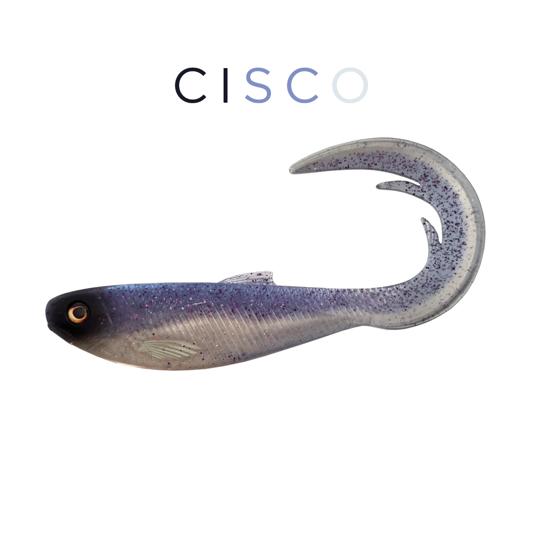 Headbanger FireTail V2 17 cm – Cisco