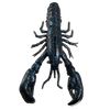 Headbanger RawCraw