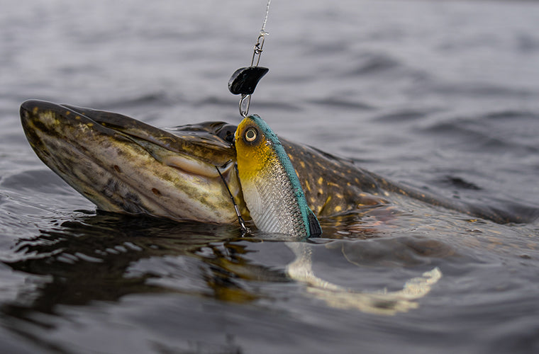 RockerHead Stinger - Headbanger Lures