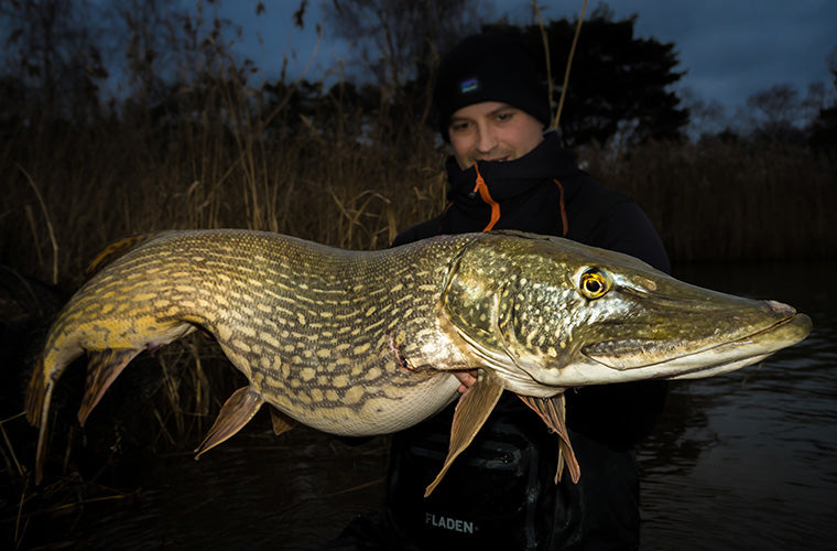 RockerHead Stinger - Headbanger Lures