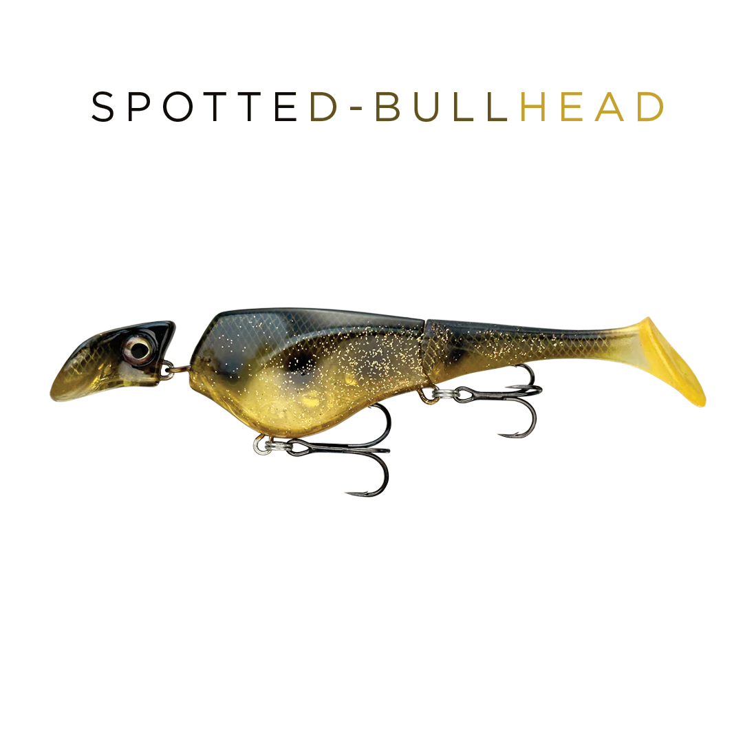 Headbanger Shad 16 cm – Floating / Spotted Bullhead