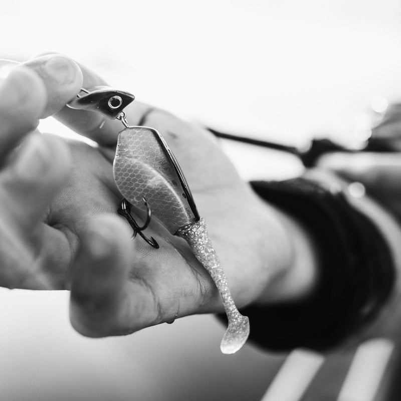 AN OBSESSION WITH INNOVATION