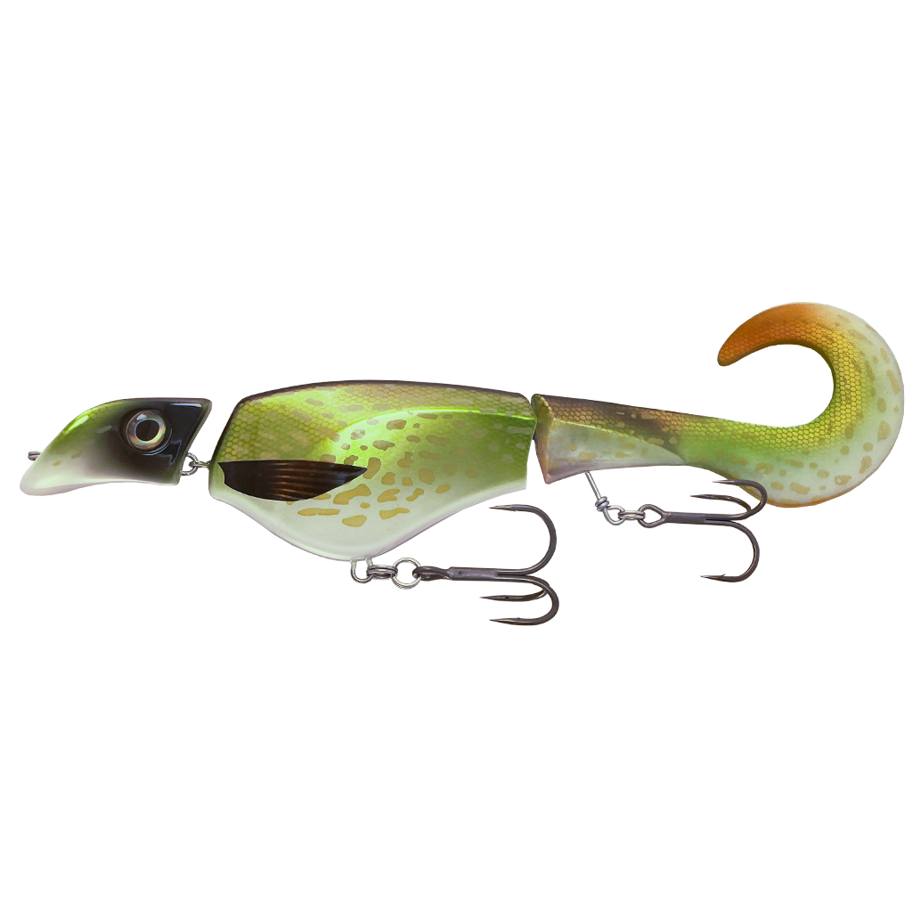 Colossus-Curly_Northern-Pike.png